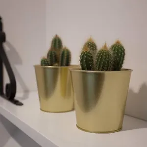 Appartamento Bonito Apartamento, Nuevo Y En El Casco Viejo!!! Spagna